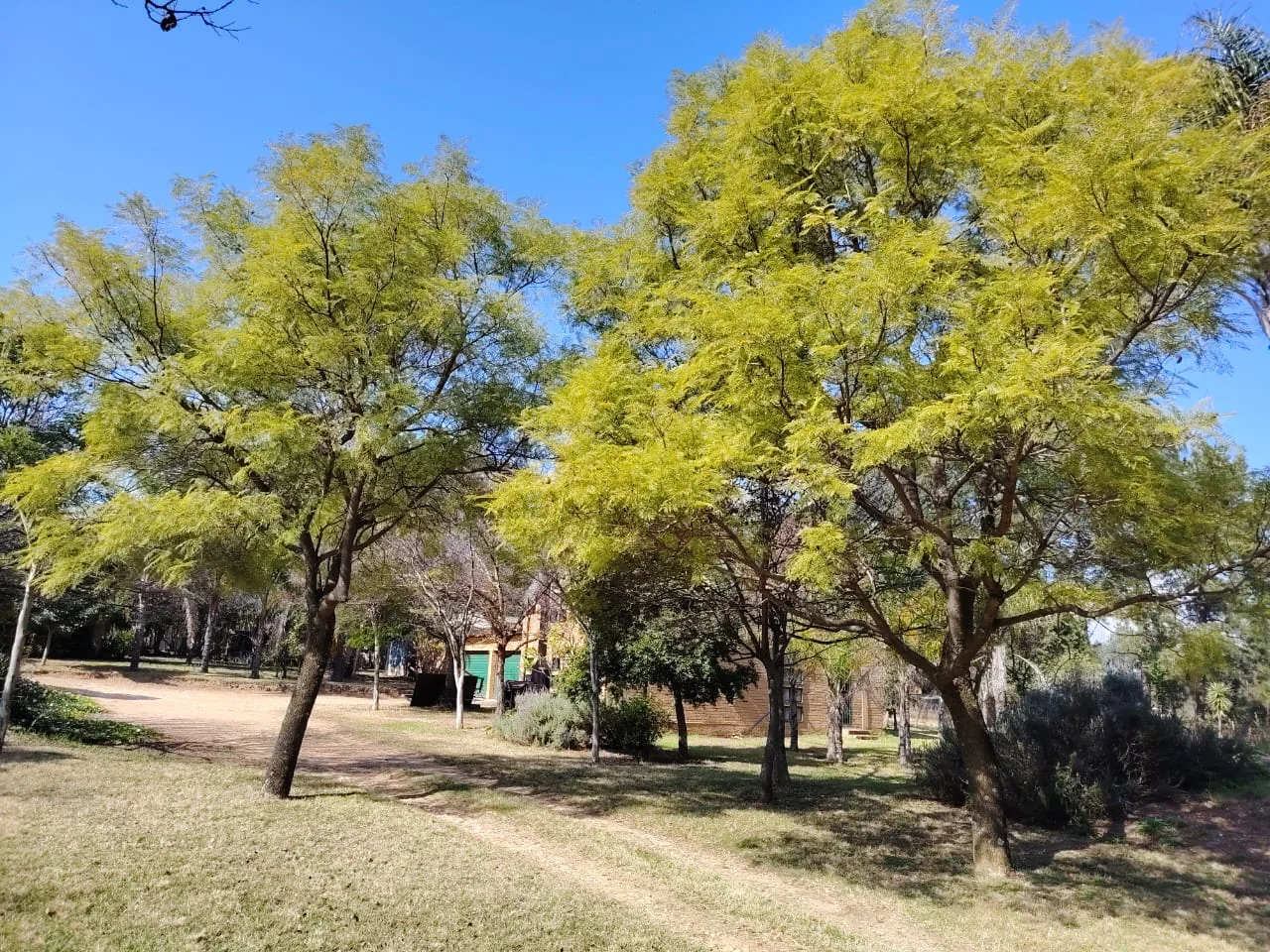 Country Living with City Convenience – 1 Hectare Farm-Style Property