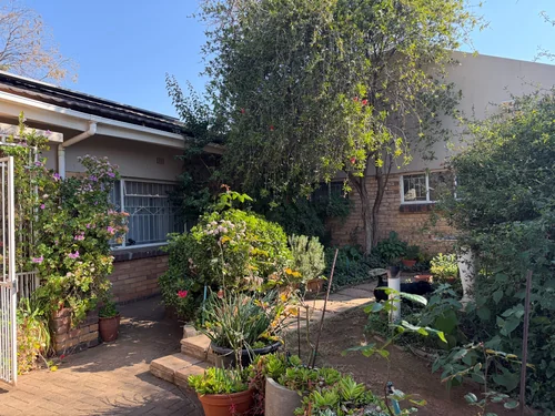Dan Pienaar, Bloemfontein