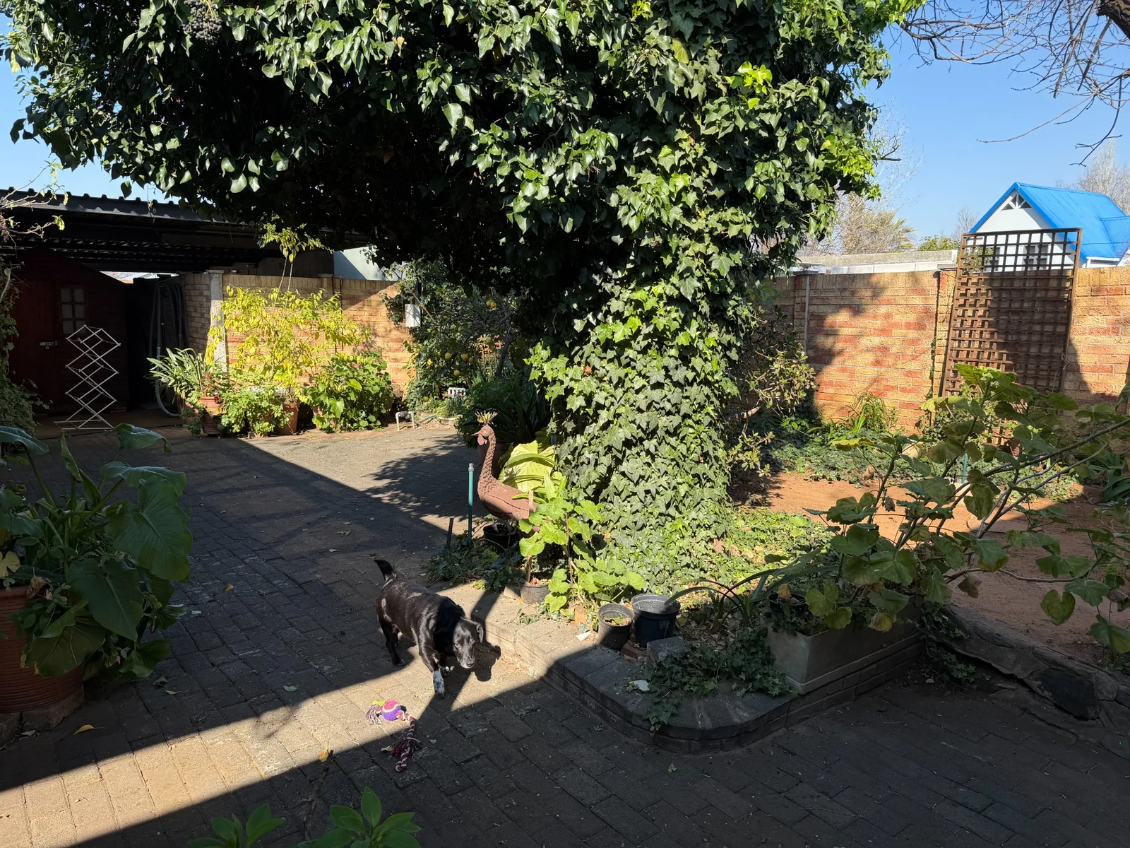 Sub-divided Dan Pienaar Property with Flatlet Exceptional Value, Priced to Sell