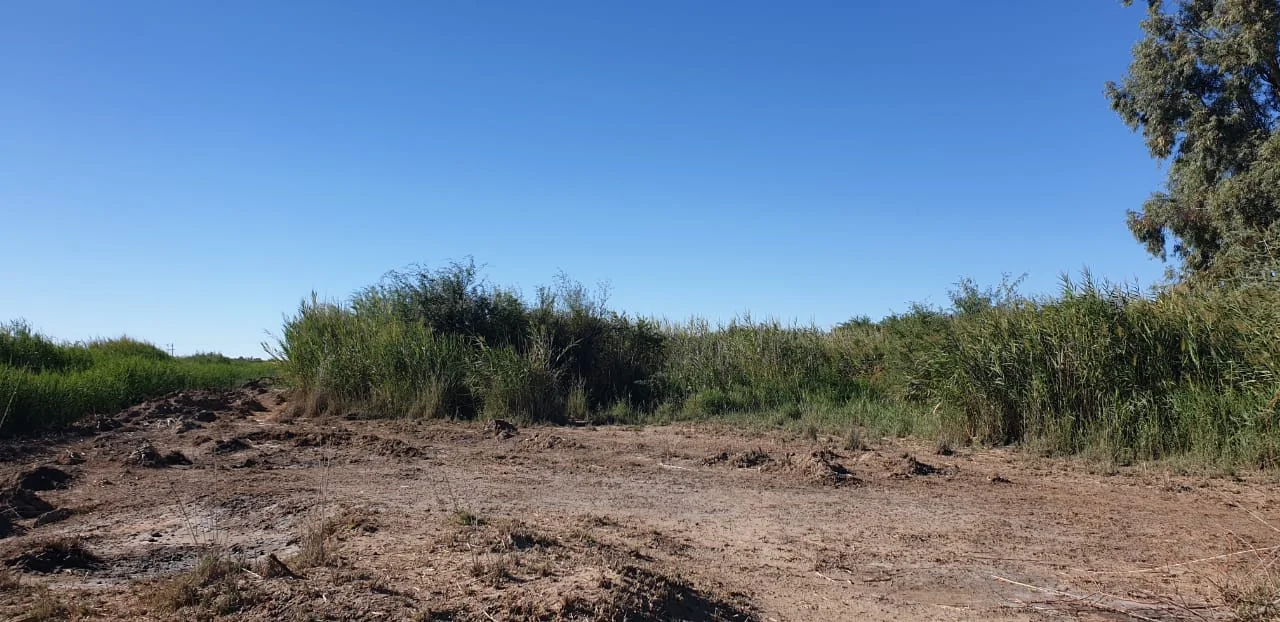 LFPE-18220