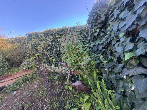 Fleurdal, Bloemfontein