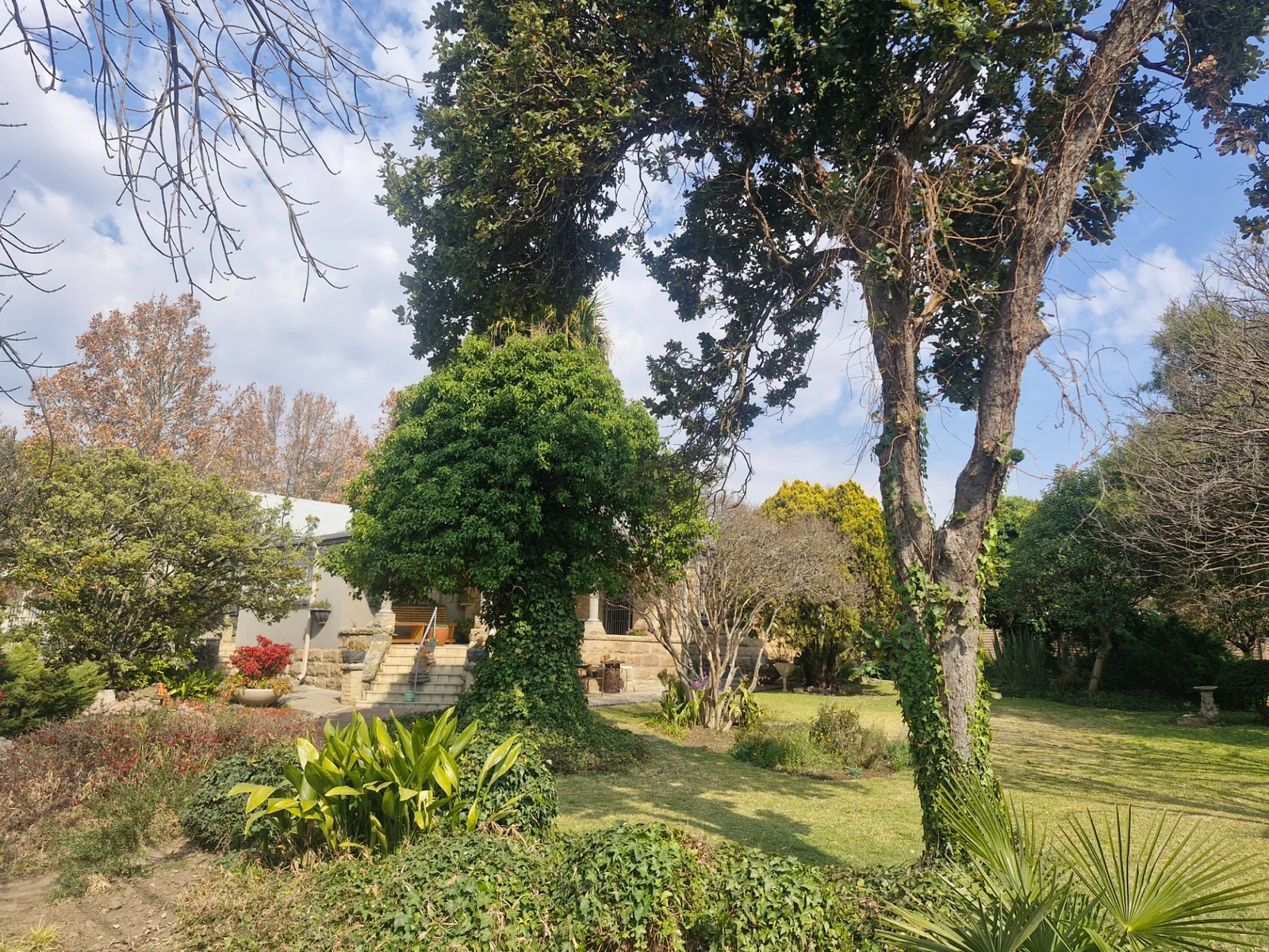 LFBM-1896