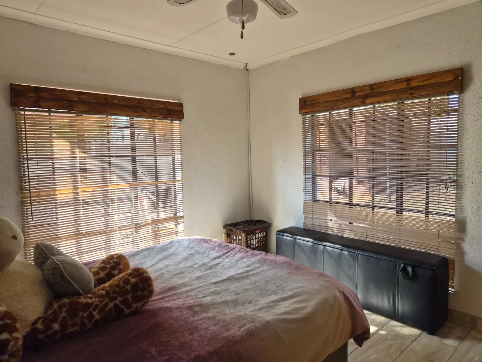 House for Sale in Safari Gardens