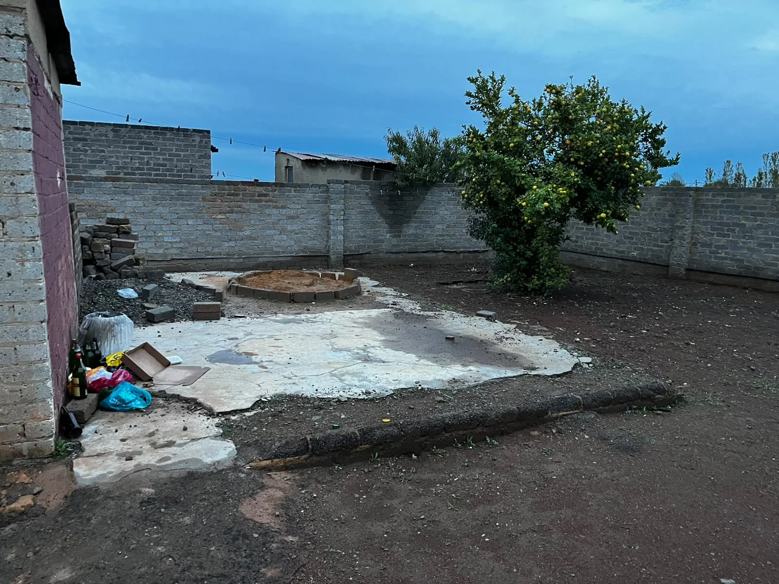 LFVG-6799