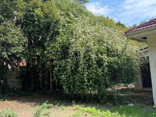 Waverley, Bloemfontein