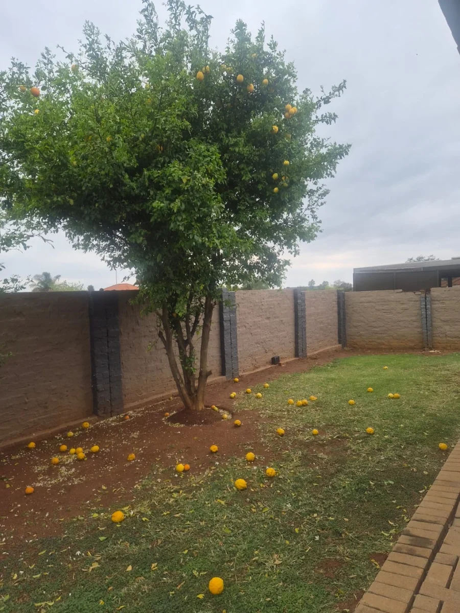 3 Bedroom House for Sale In Waterkloof East