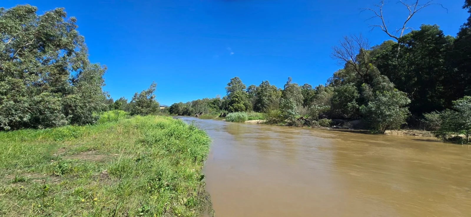 LFSH-4491