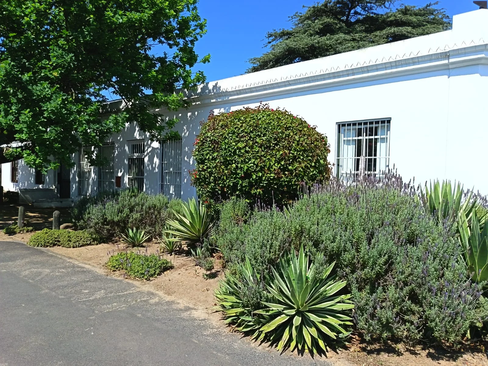 2 Bedroom  - Ryneveld Street - 1 December 2026