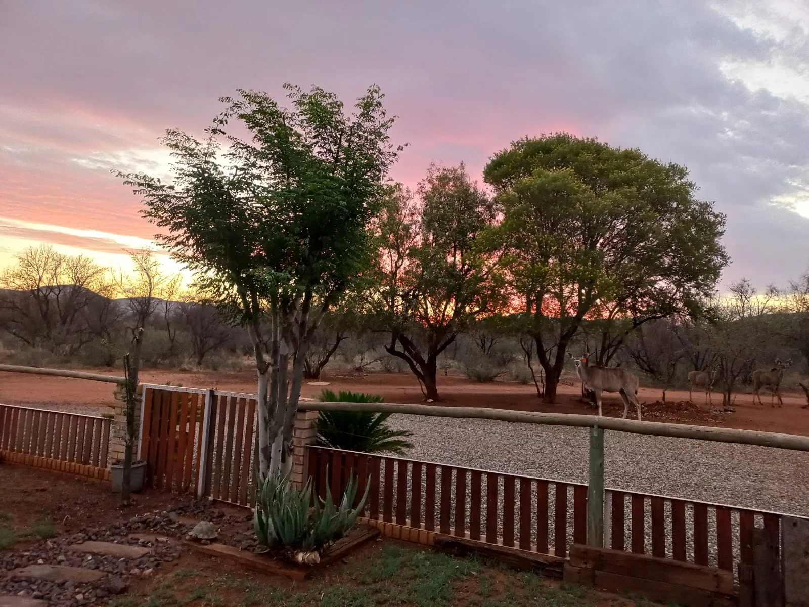 A Luxurious Bush Retreat in the sought after Marekele Eco Estate , Thabazimbi, just waiting for the Fortunate Family to live your Best Life.
