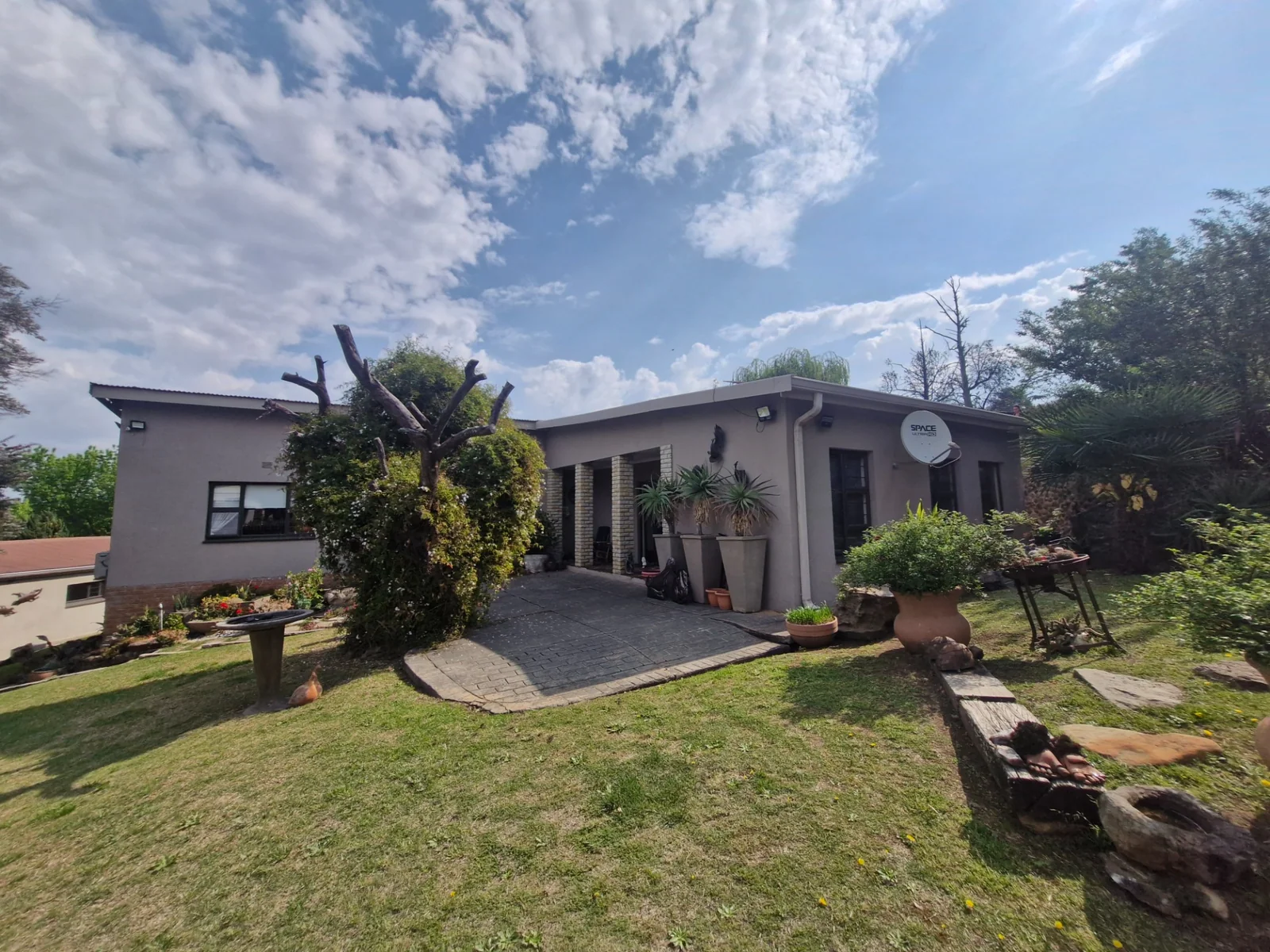 LFBM-1919