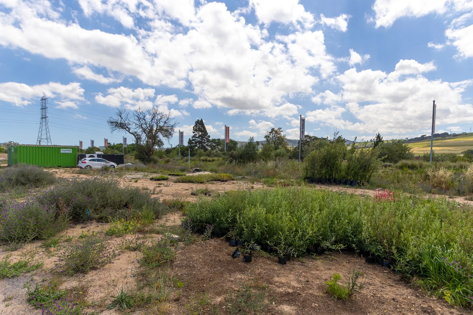 Secure your plot and plan Home in Longlands Estate