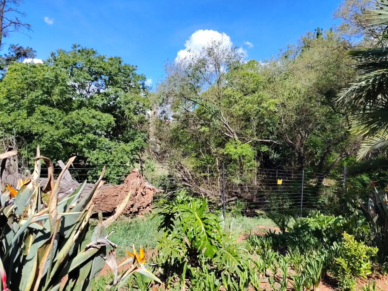Set in the most beautiful garden and a fully renovated unit.