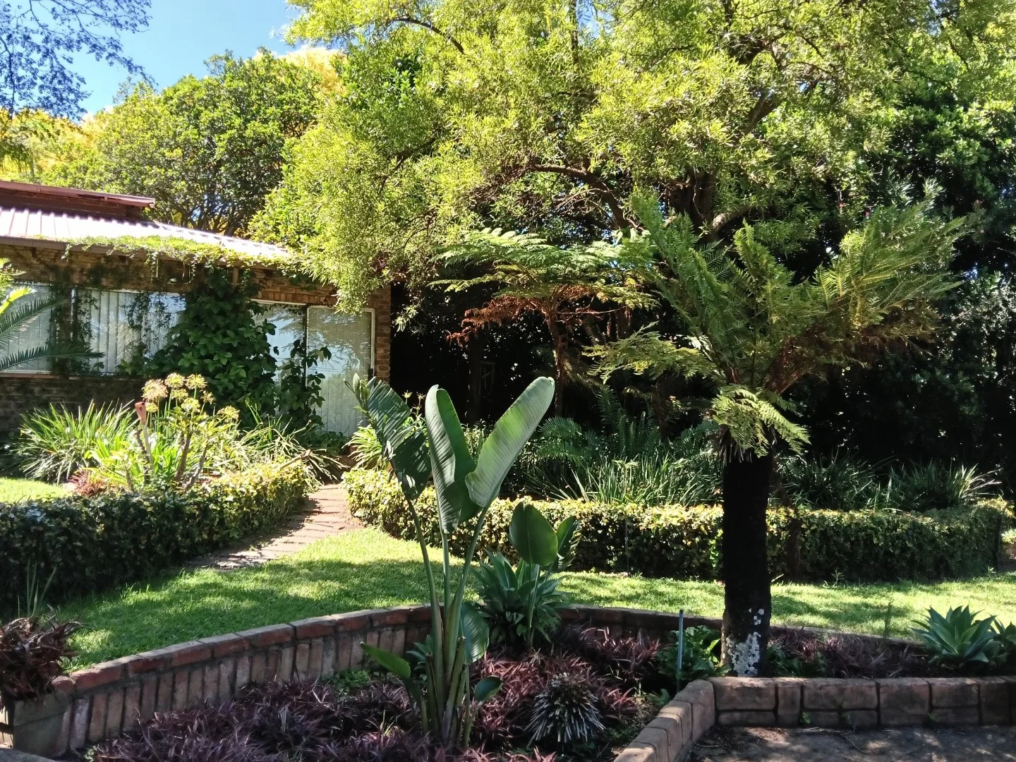 LFPE-18533